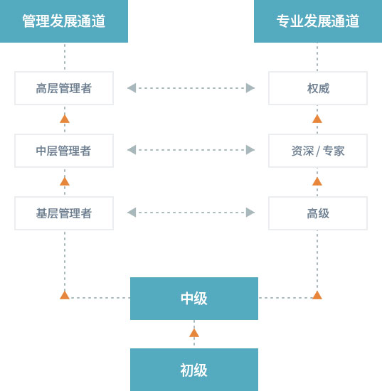 Cmp(冠军)官网 - 西甲希洪竞技主赞助商